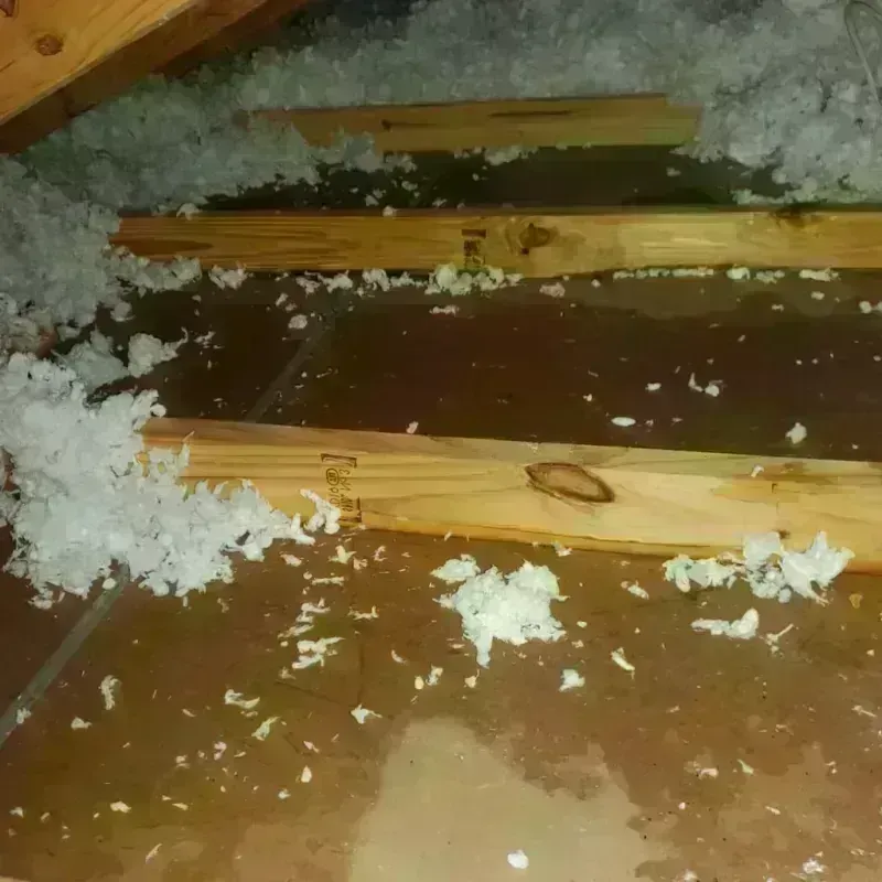 Attic Water Damage in Saint Clairsville, OH